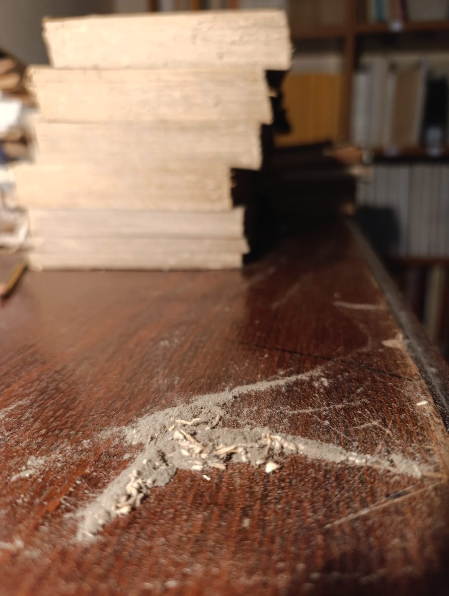 "Però per què netegeu els bibliotecaris, no és una pèrdua de temps?"

NOOOOOOO! 

Una de les tasques dels bibliotecaris, ens agradi o no, i més en una #biblioteca #patrimonial, és precisament aquesta. 
Conservar els fons bibliogràfics i això implica, entre d'altres coses, netejar