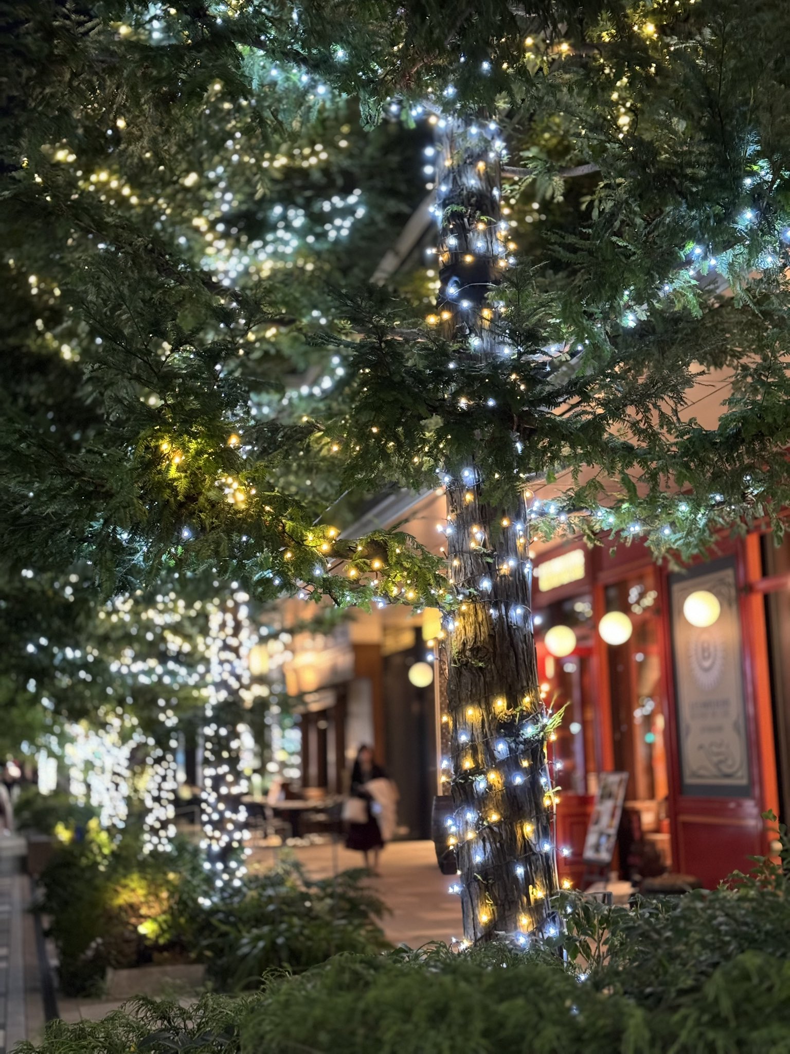 LEDイルミネーション - Search / X