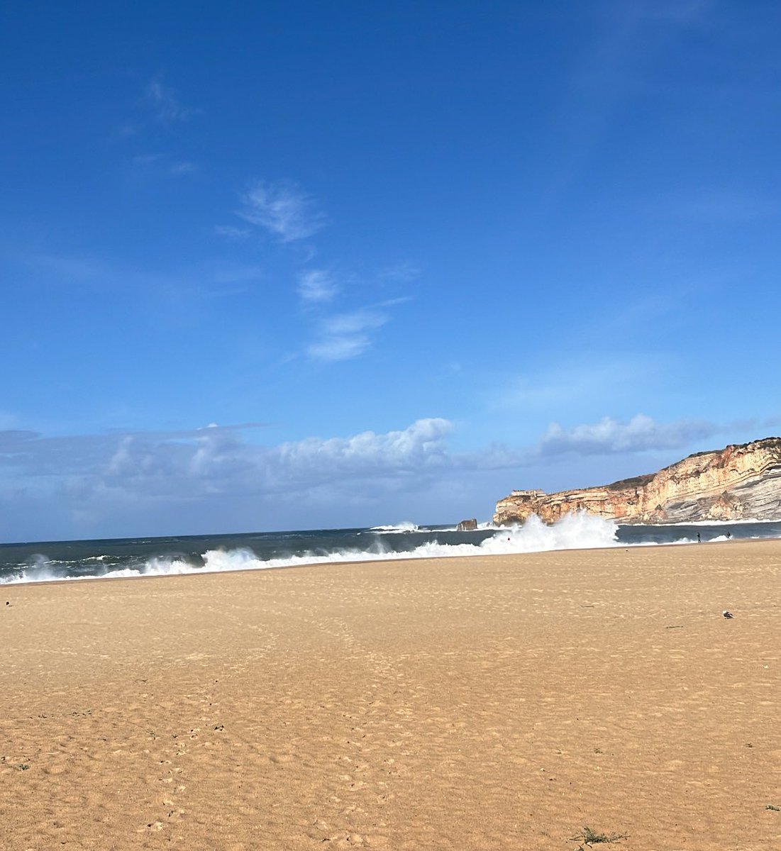 Jack D Coulson - Online Coach tweet media