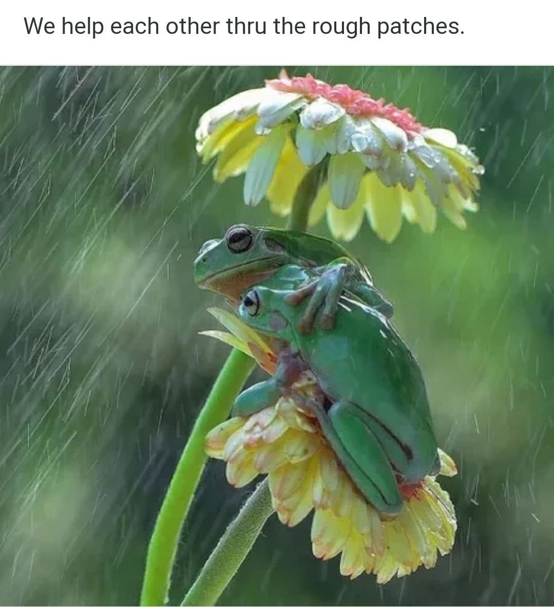 8Notables's tweet image. 🐸