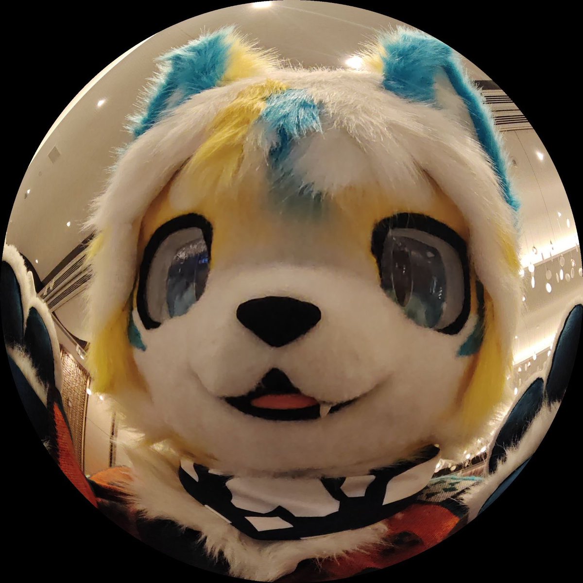 fantablom's tweet image. 有人在家吗？快开门

（是来自鱼眼仙人的返图）