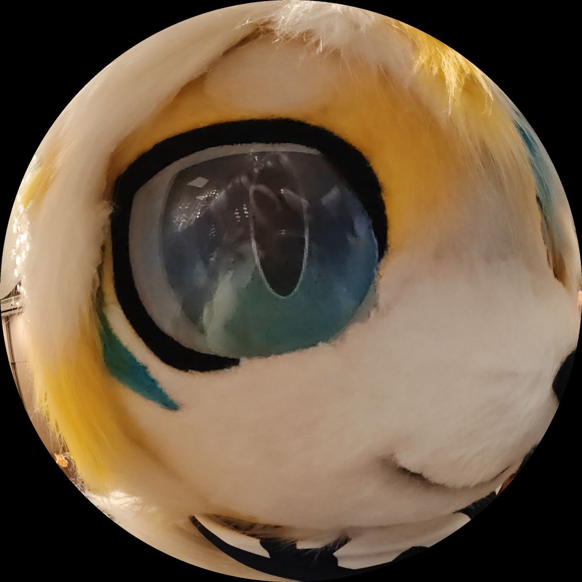 fantablom's tweet image. 有人在家吗？快开门

（是来自鱼眼仙人的返图）