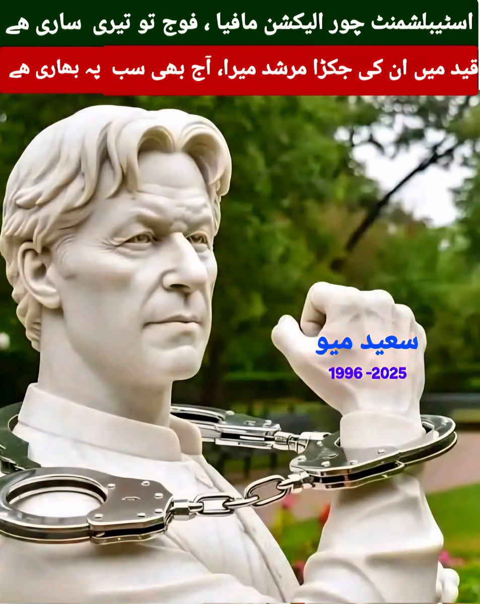 Saeed Mayo tweet media