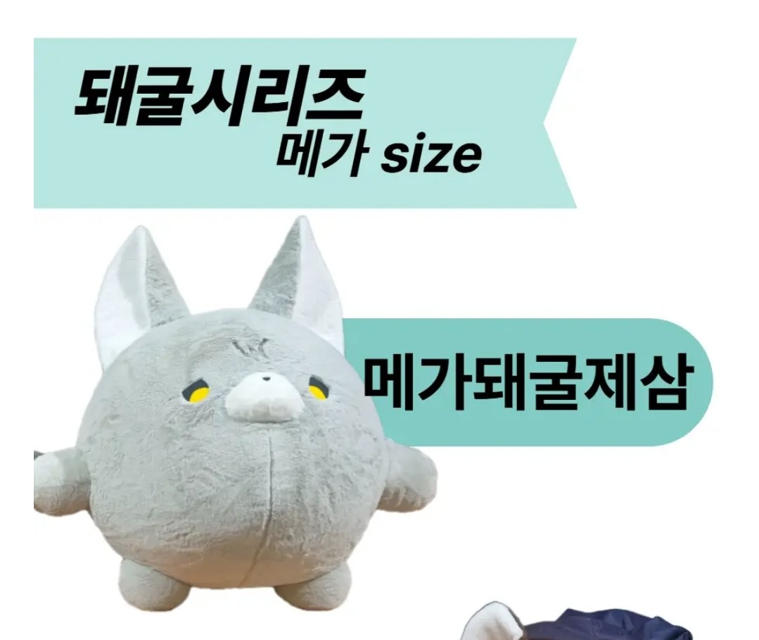 Empty______Name's tweet image. #RT
#솜인덕장터
#솜솜구함터
#돼굴제삼
#메가돼굴제삼
#메돼제
#솜인형
#솜인형마켓
메가돼굴제삼 양도 구합니다. 멘션, 디엠 주세요
배송비 당연히 제가 부담합니다!
포장값 많이나와도 부담하겠습니다!
찔러보기라도부탁합니다. 간절해요
양도성공시 알티추첨 카카페 5만원 쿠폰 증정하겠습니다