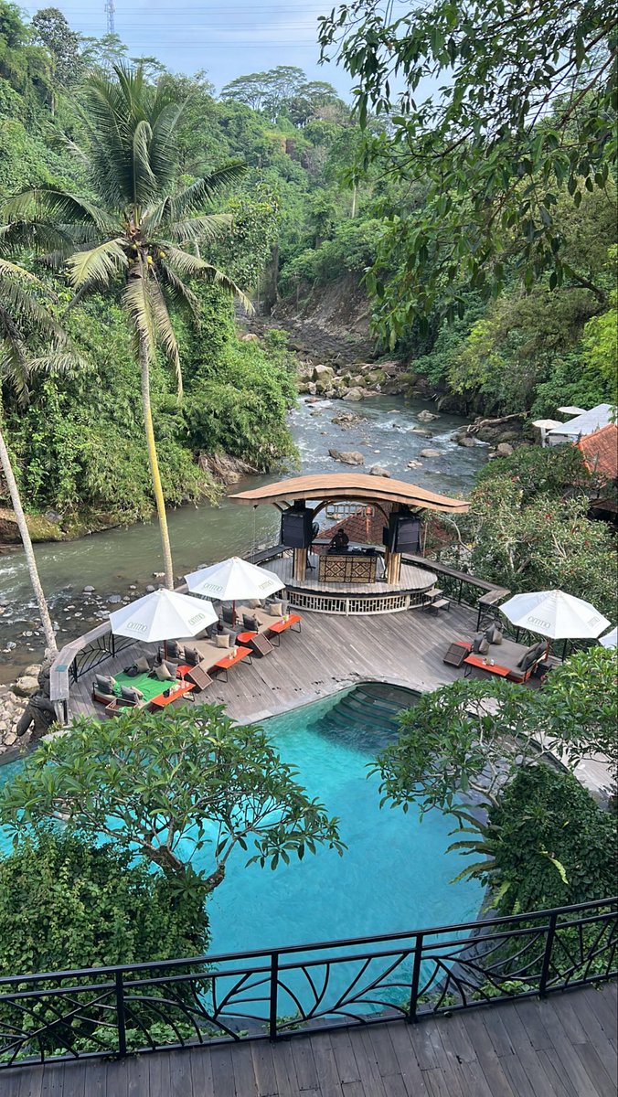 In the middle of the jungle 🌴