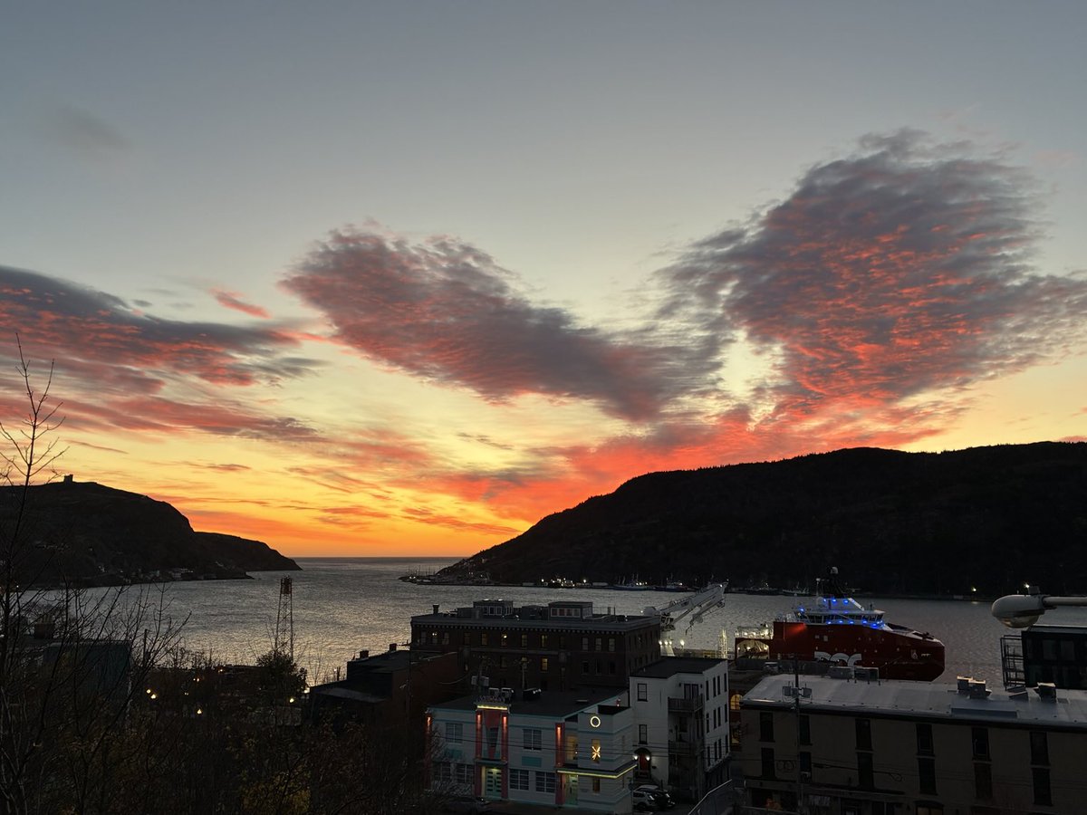 Francesca Swann tweet media