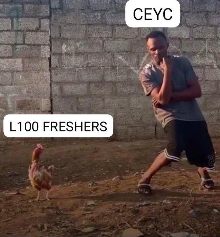 Ebo⚜️ tweet media