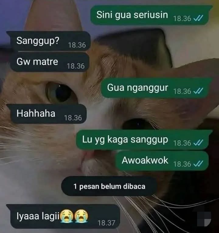 KucengTerbanggg's tweet photo. Ter-Counter https://t.co/QxAS5zLnFM