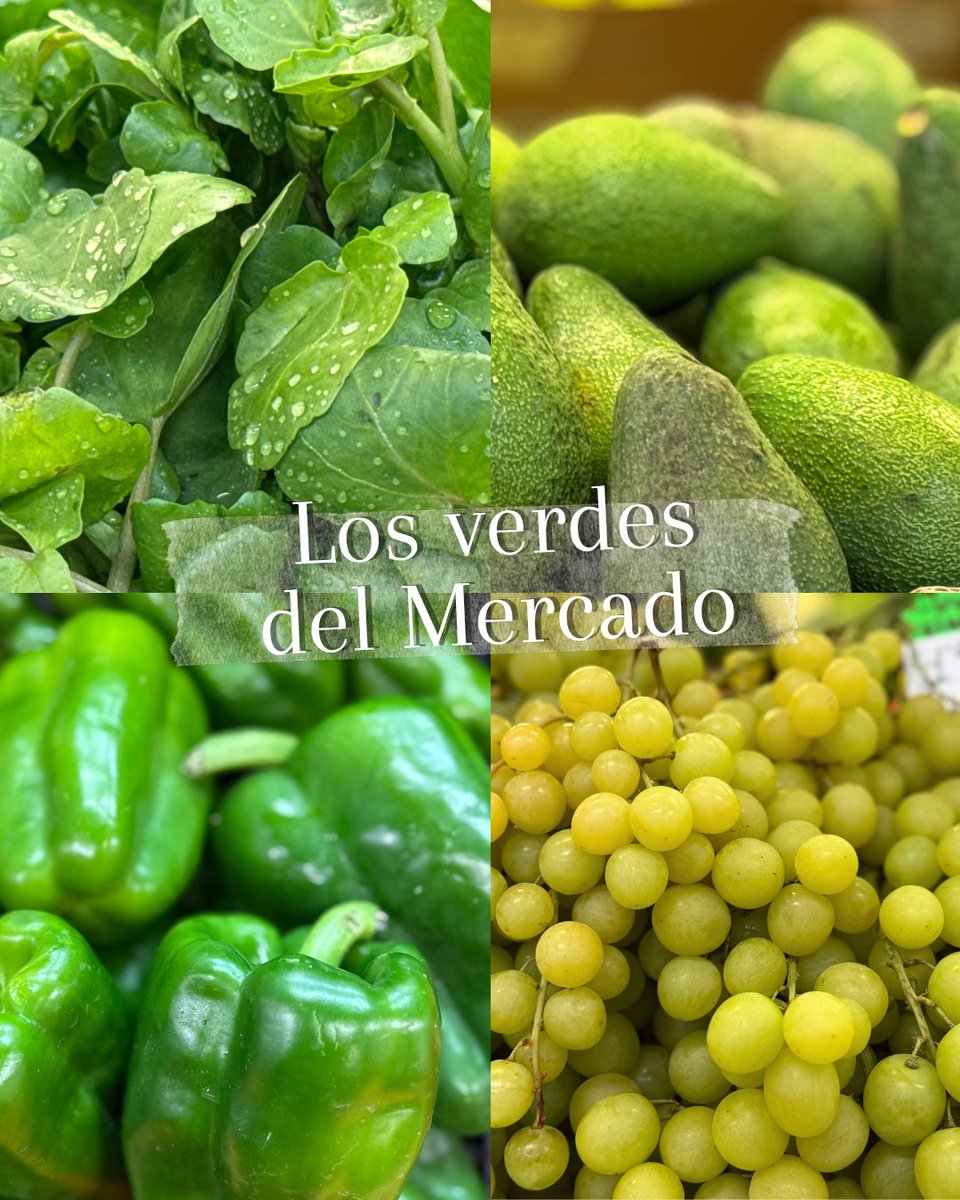 💚Los verdes del Mercado de La Laguna invaden cada esquina de color y frescura. 

¿Cuál es tu verde?

#mercadodelalaguna
