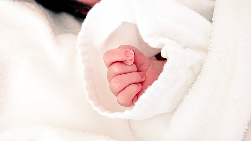 約3年ぶりの新生児、たまりませんな🥺
また寝不足の日々が始まると思うと恐怖ですが…しばらくはマイペースに執筆させて頂きます。
それにしても今回後陣痛痛すぎる
