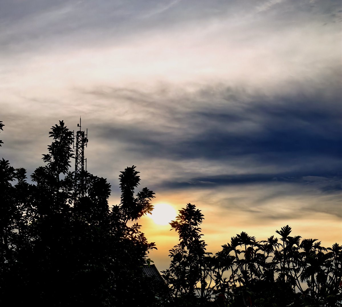 arr_ant's tweet image. Morning Vibes ....