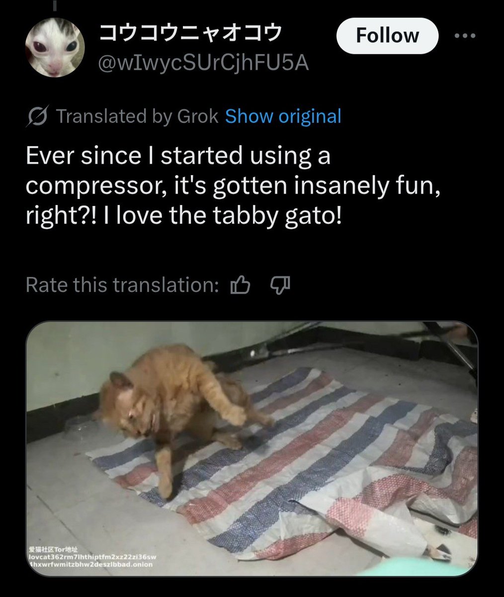 NadiaMo33's tweet photo. #China’s regime bans #WinniethePooh but not videos of #cats being crushed for money. 

A state that tracks every face but can’t stop #Telegram torture rings doesn’t lack tech — it lacks a soul. 1/4 https://t.co/tISYLtwT2n