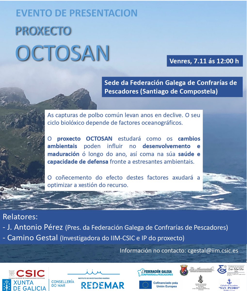 IIM_CSIC's tweet photo. Este viernes 7 a las 12:00 presentamos el proyecto OCTOSAN en la Federación Gallega de Cofradías. 🐙
Un proyecto del IIM-CSIC junto al sector para avanzar hacia una gestión sostenible del pulpo en Galicia.
#OCTOSAN #IIMCSIC #REDEMAR #PescaSostenible https://t.co/EIwJBggFsa