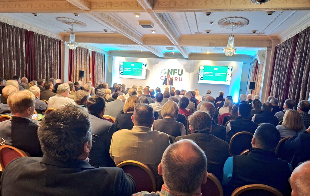 William Powell🔶🏴 tweet media