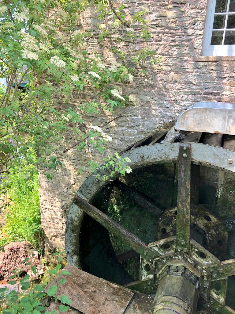 William Powell🔶🏴 tweet media