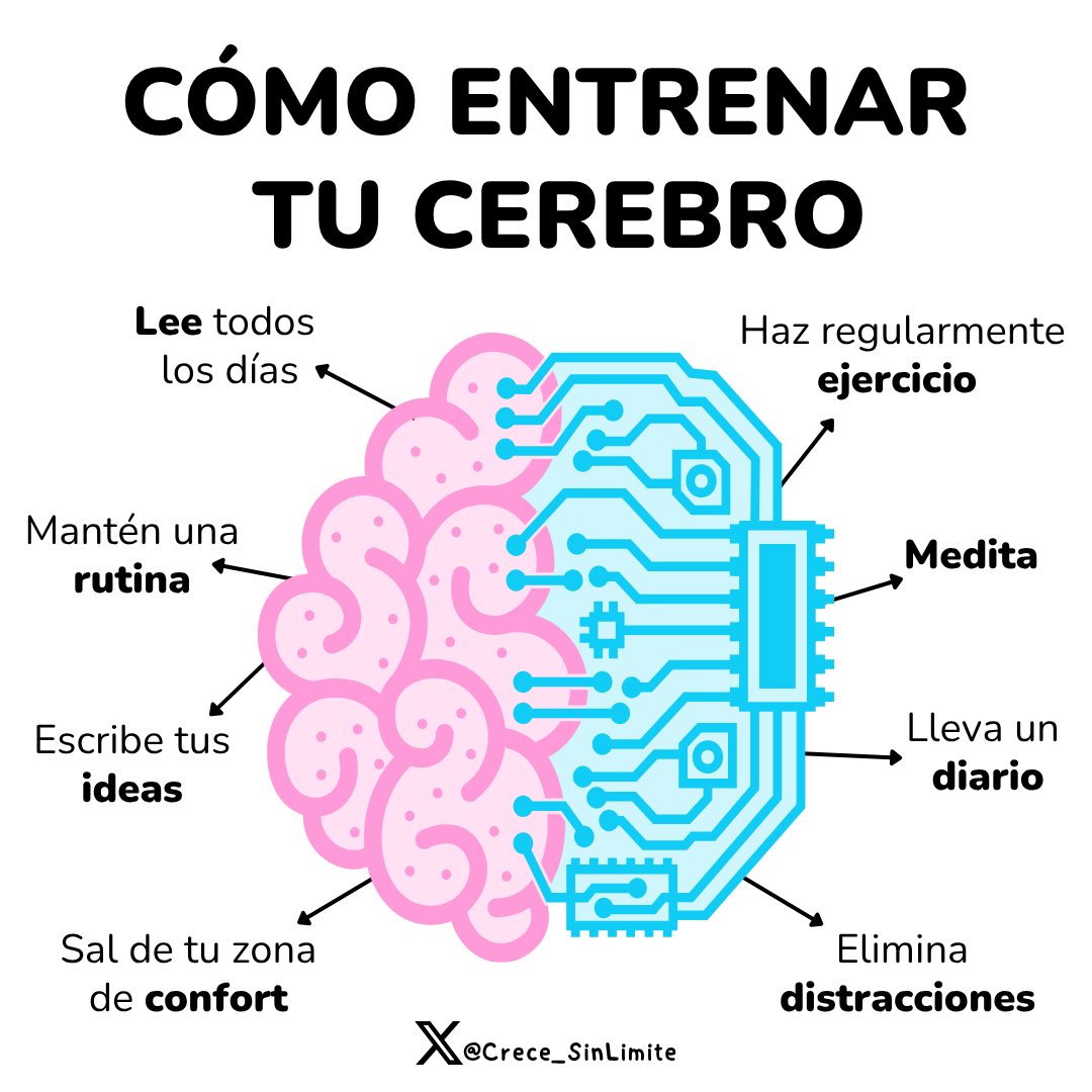 Como entrenar tu cerebro: