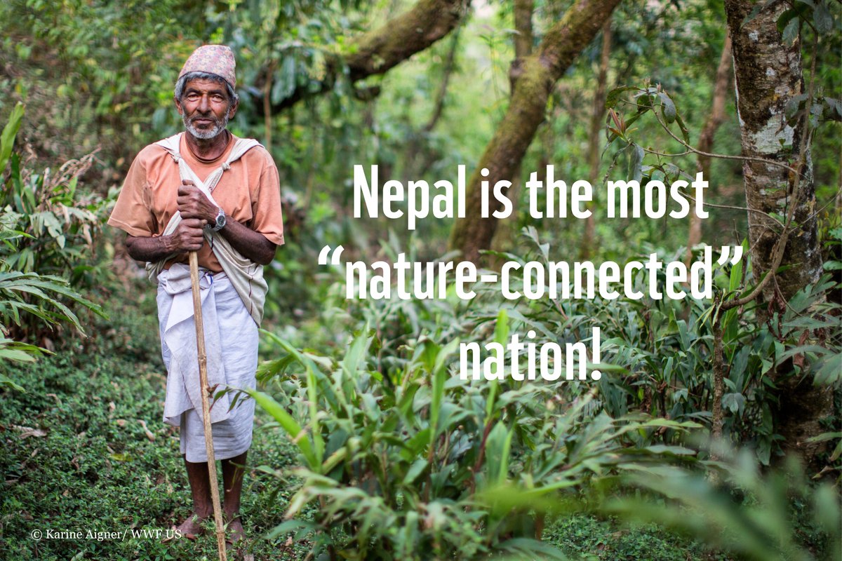 WWFNepal's tweet image. Amazing news! Nepal ranks #1 when it comes to “nature connectedness”! 

A global study has found that people in Nepal feel the strongest bond with nature. This deep connection is linked to better well-being &amp;amp; a greater desire to protect the planet. 

 #TogetherPossible