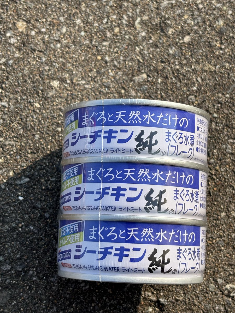 今日は実に久しぶりにスーパーマーケットへ行き、気付いたら隣のホームセンターと合わせて4時間も滞在していた。スーパーの棚を眺めながら、旅の間は毎日何を食べようかと思案し続け、結論としては、ツナとジャガイモのスパゲッティに落ち着いた。