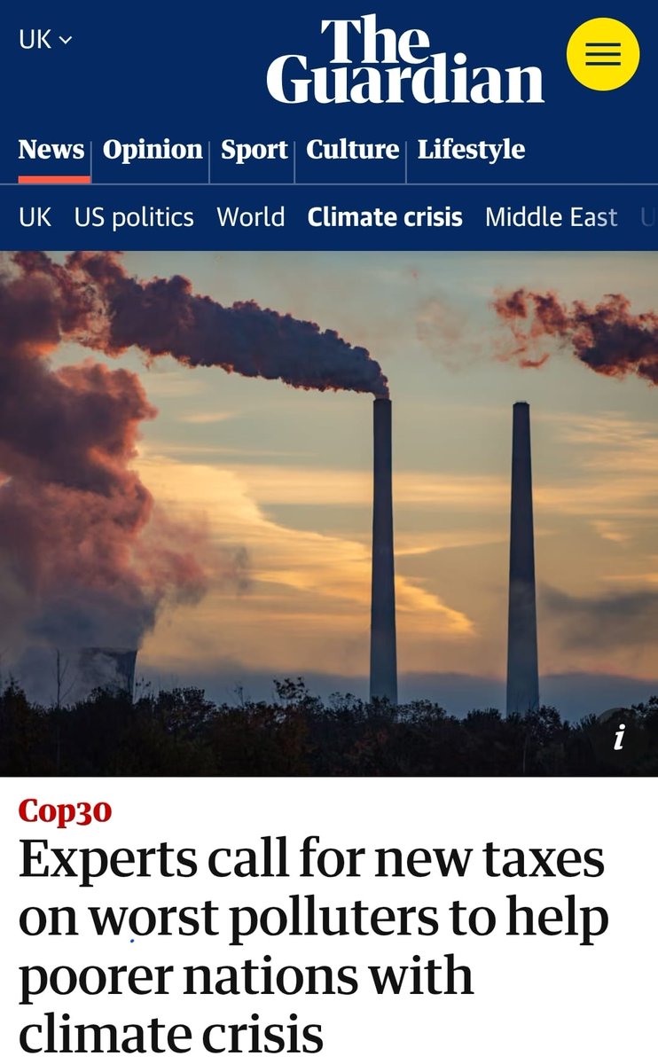 Louise Hutchins tweet media