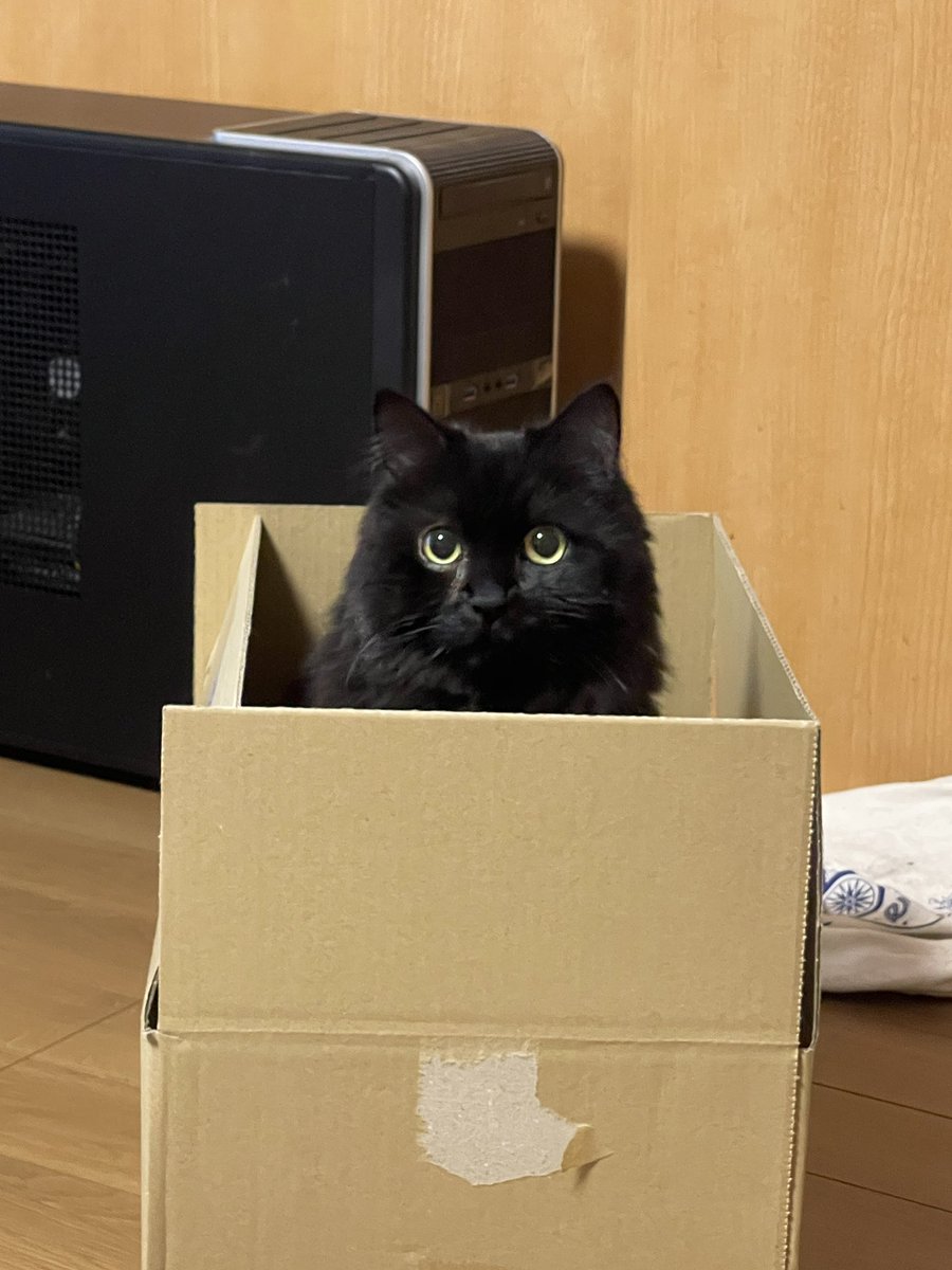 さよっち セクシーコマンドーサト吉 on X