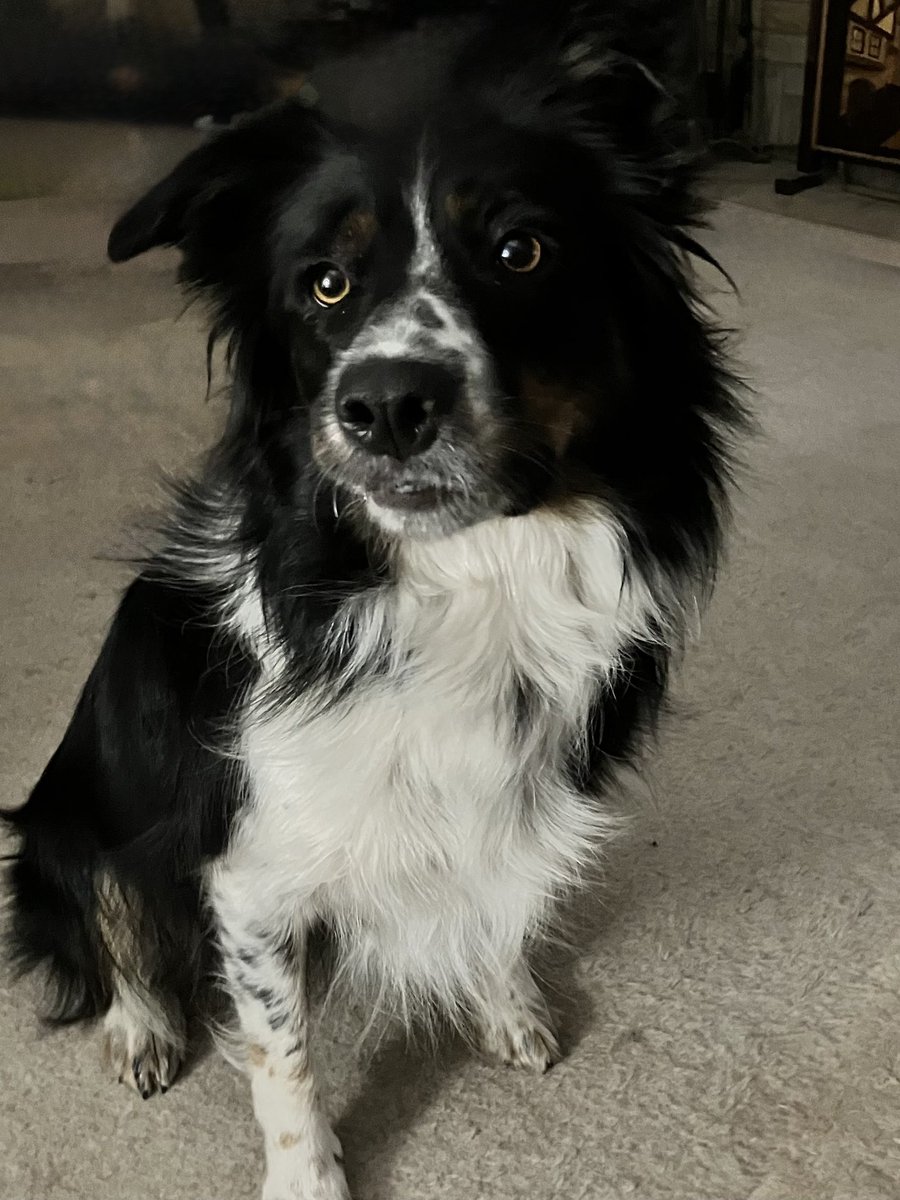 Gina Hadfield (@hadfod16) on Twitter photo 