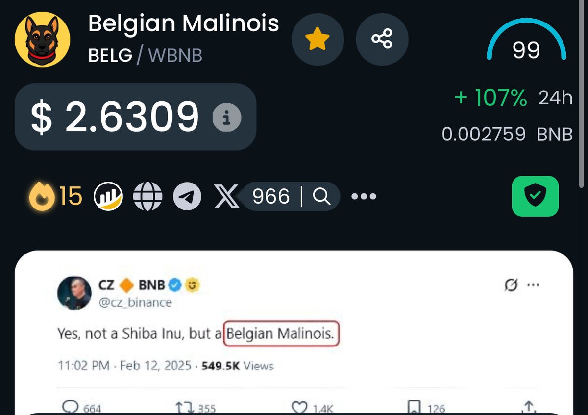 WhaleFUD's tweet photo. Don’t say I didn’t tell you, $BELG on #BNB is only just beginning.

Send it with haste to $100  🚀 https://t.co/q0gBbThEvB