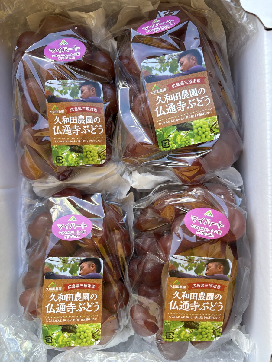 ネギページ さきチ｜Kuwadafarm｜ぶどう梨白ネギ on X