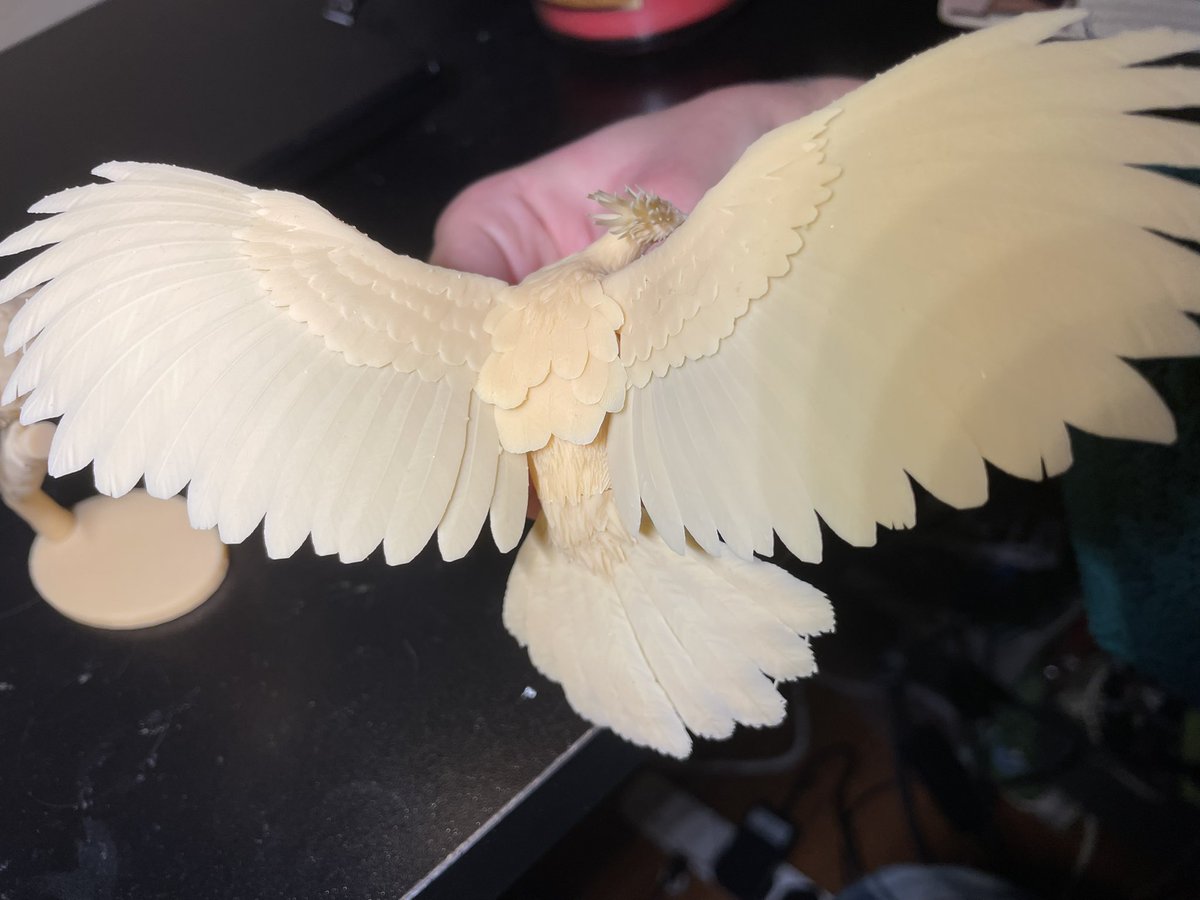 rkart221's tweet photo. @551monzou IT ARRIVED! I’m so happy with the Hoatzin, the detail on them is incredible! They arrived safe and fast I’m so excited to paint, thank you so much!!! https://t.co/0lTrvy2J8r