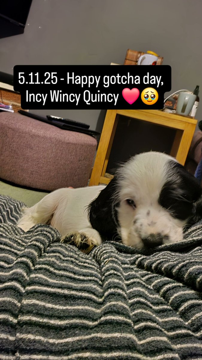 TakeOnMikeVA tweet media