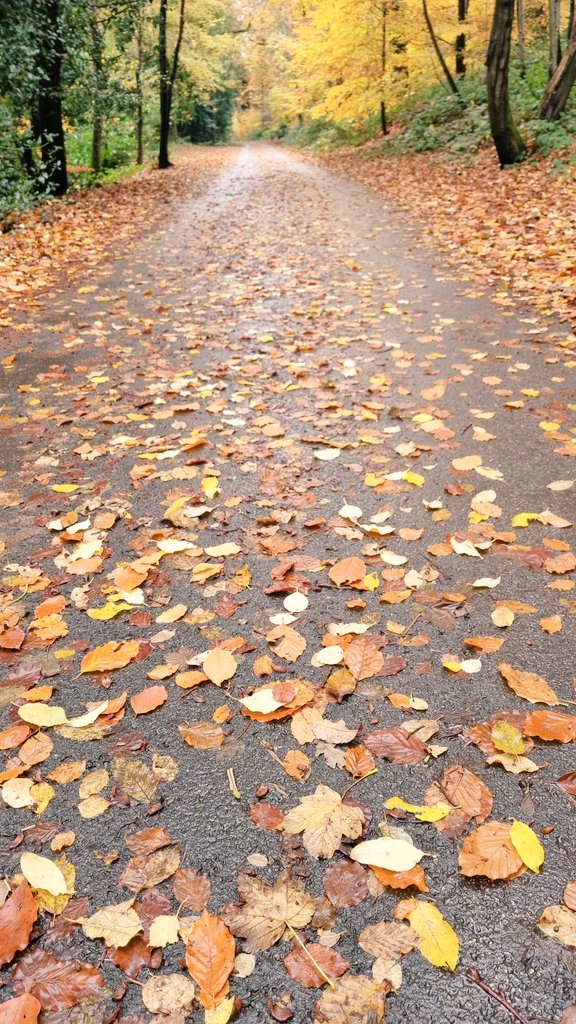 passedmytest_'s tweet photo. A few from this week's Peak District shenanigans. Had an 0830 meeting then took advantage of the mild weather to enjoy a walk. Met another lone walker and we discussed her route
#peakdistrict #buxtonshire https://t.co/KJ4QMEHPEL