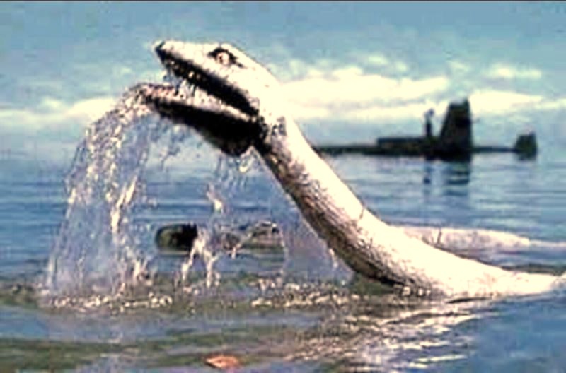 世界一のバイラスゲイル 楽天市場】バイラス・ゲイルの通販