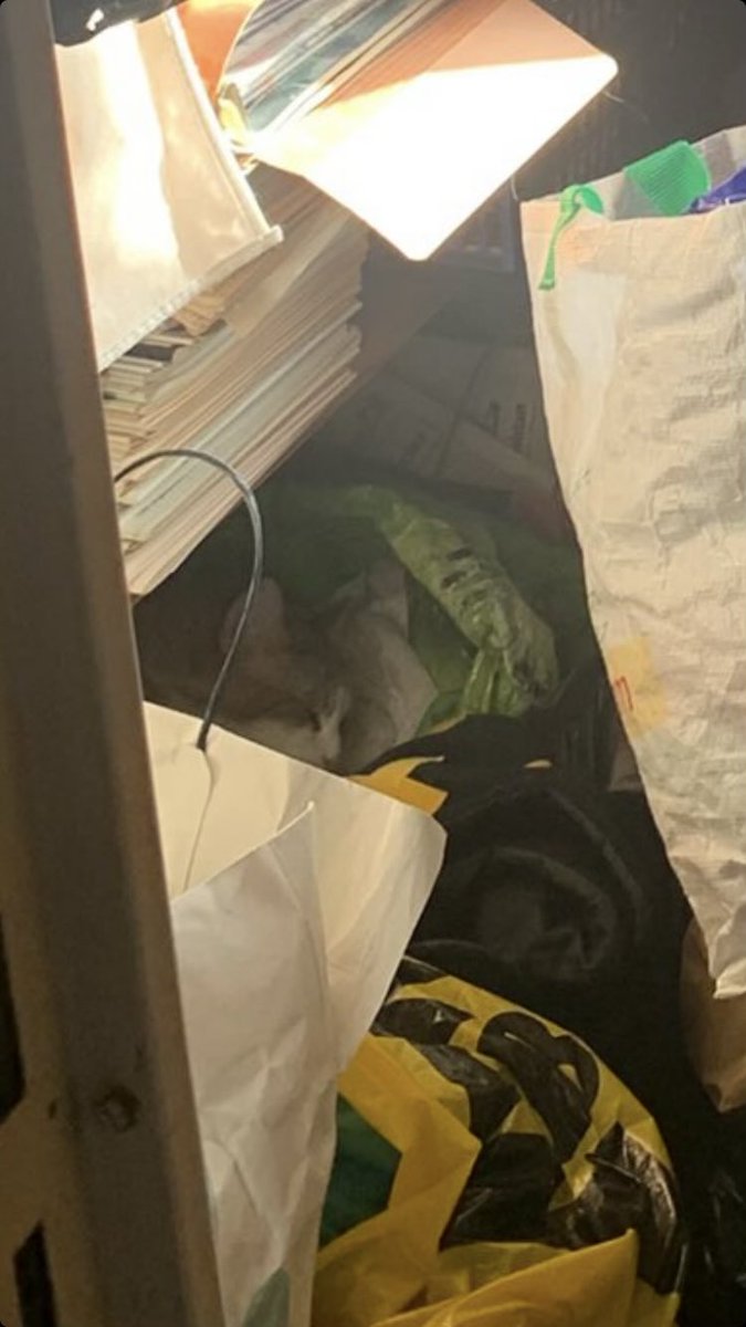 Ouaf fond blanc (@ouafblanc) on Twitter photo 