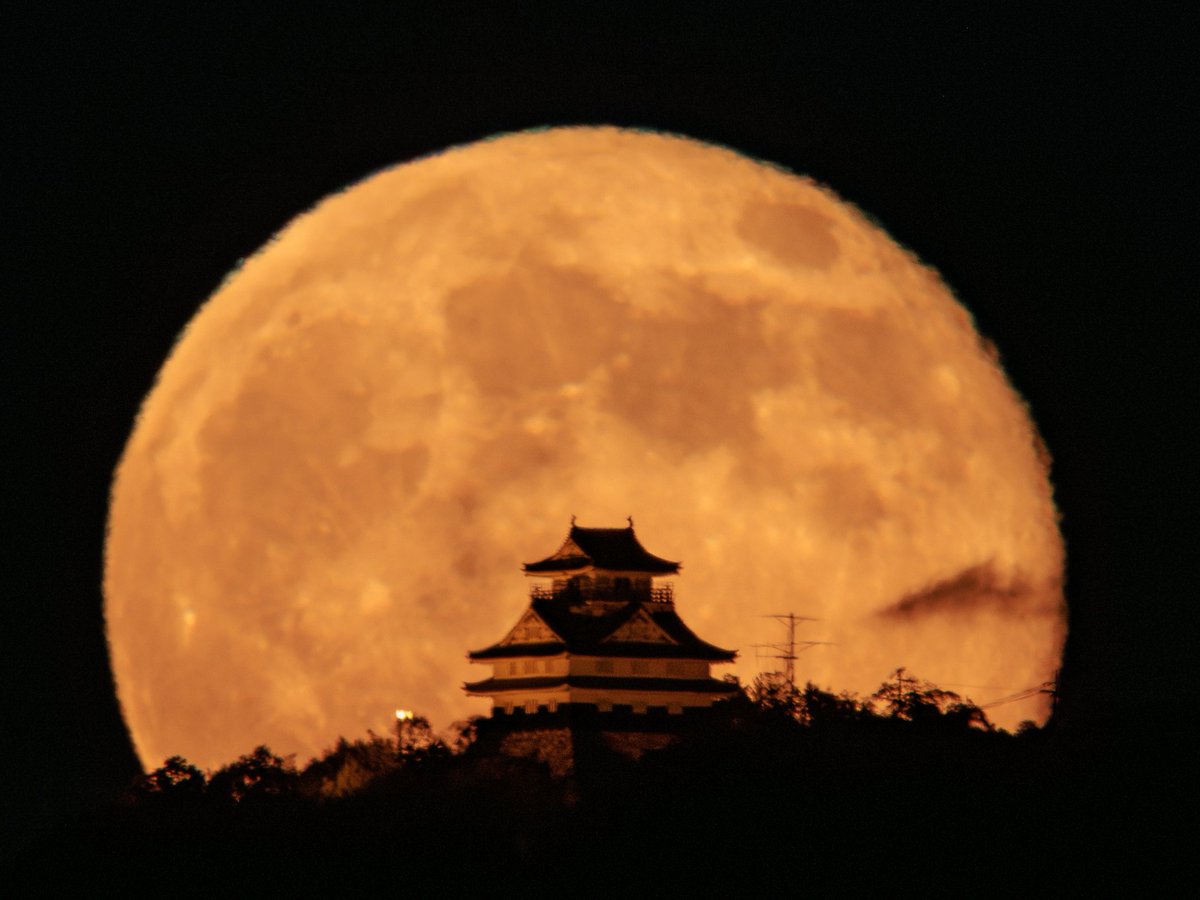 ta8092's tweet photo. 満月の翌日の月とオレンジライトアップ
The moon the day after the full moon and orange light-up

ほぼ満月の満月翌日の月。
雲は、ほぼ無かった。
昨日、満月は現れてくれなかったので、今日は誕生日プレゼントかなぁ。

Location:Gifu Japan 岐阜城

#岐阜城  #月 #月城  
#東京カメラ部 https://t.co/puFhlgAoCn