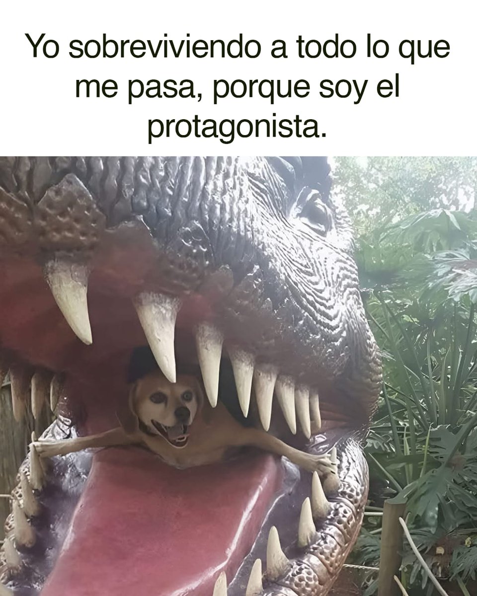 Ana_LaPatata (@ymuchosmemes) on Twitter photo 