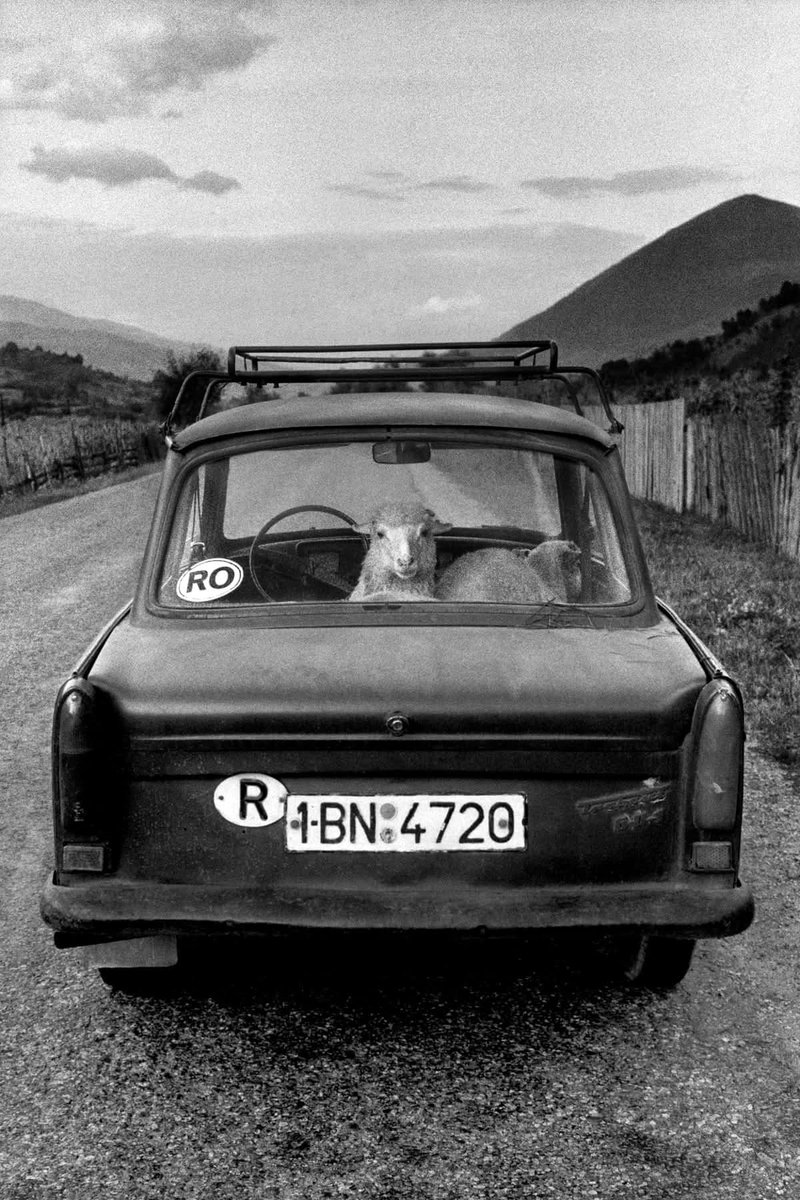 RobertoDoCimbro's tweet image. © Fabio Ponzio, 1997.