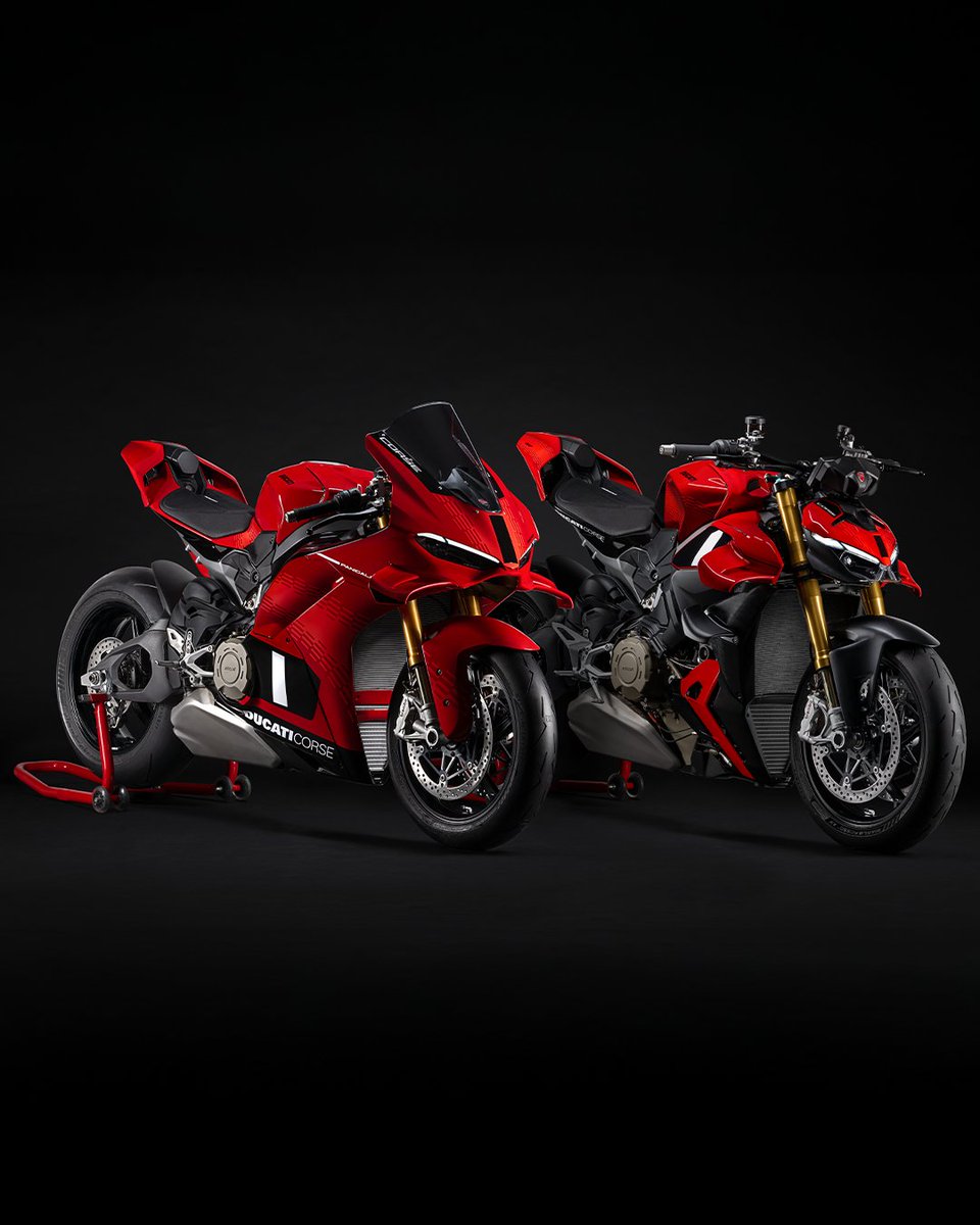 ファンクラブ限定！World wind dempa WORLD WIDE DEMPA