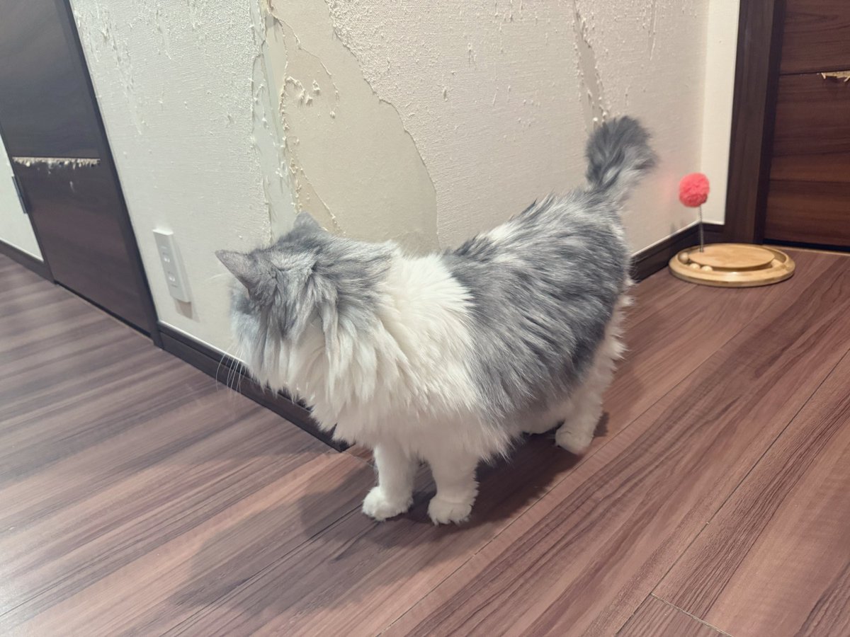 君が破壊してきたこの家、壁紙や床やドアの修復で退去するのに200万