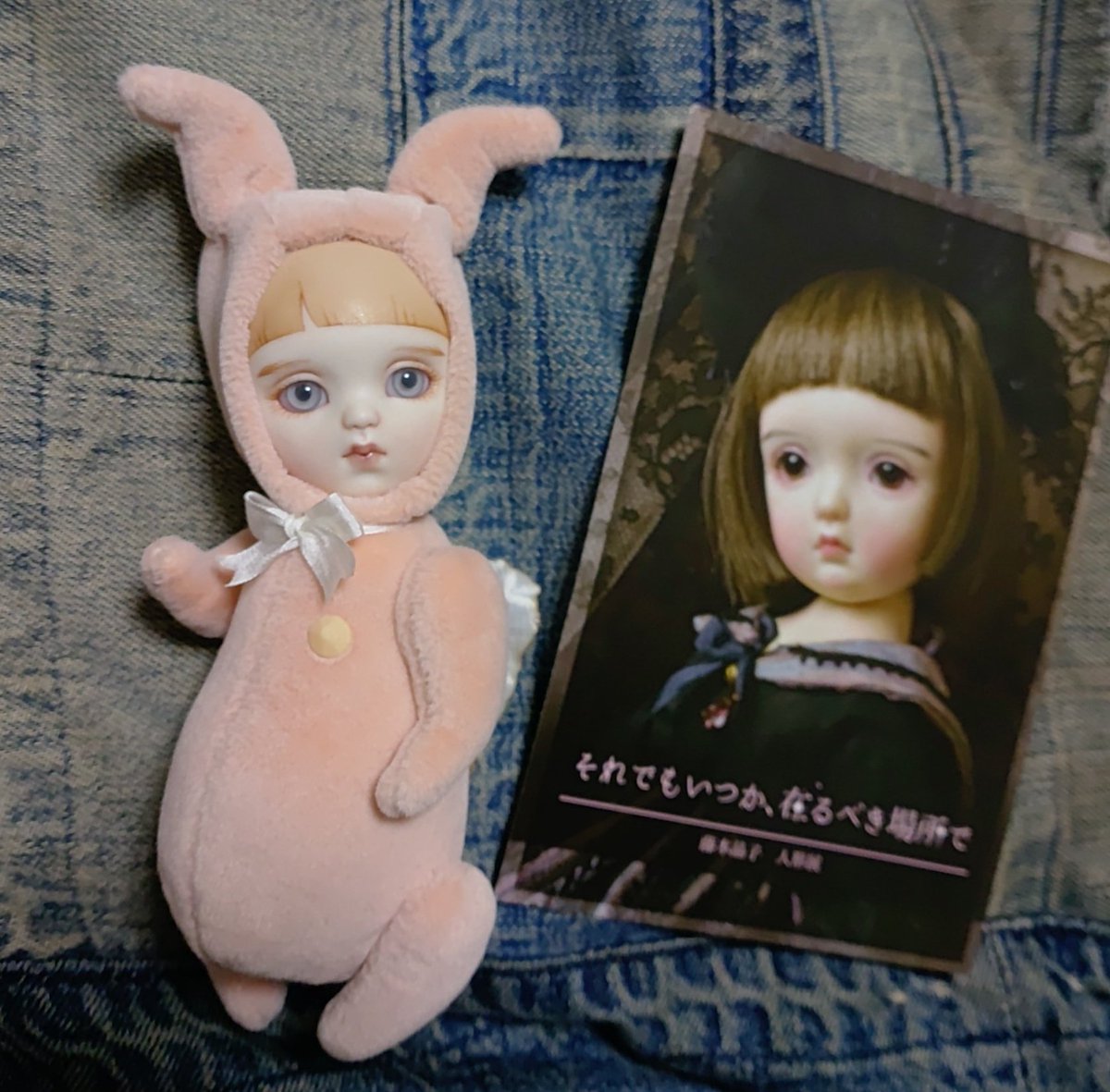 ということで！
藤本晶子<a href="/shoko_doll/">藤本晶子</a> 
せんせの個展にてお迎えさせてもらいました、チビムイちゃんサーモンピンク！
アイは自作なんだって
何でもやるねえ…
ピンクでしょ、可愛いでしょ、お迎えせんわけにいかんでしょ、ね？