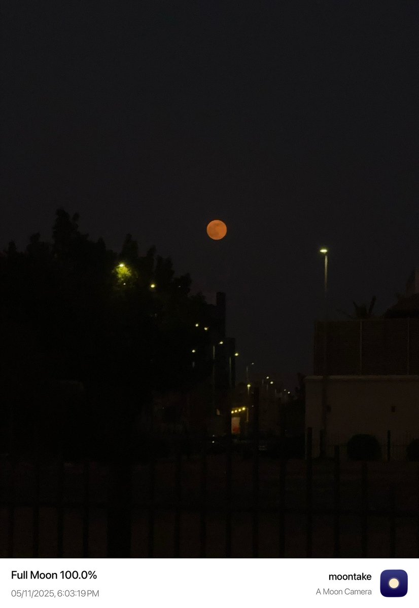 Alaa.mahsoon tweet media