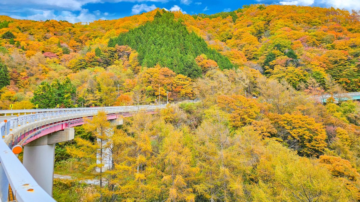長野県阿智村へ向かう峠道が最高に美しい季節🍁

名古屋からは下道で来るのがおすすめです🙆🏻

 #紅葉ドライブ