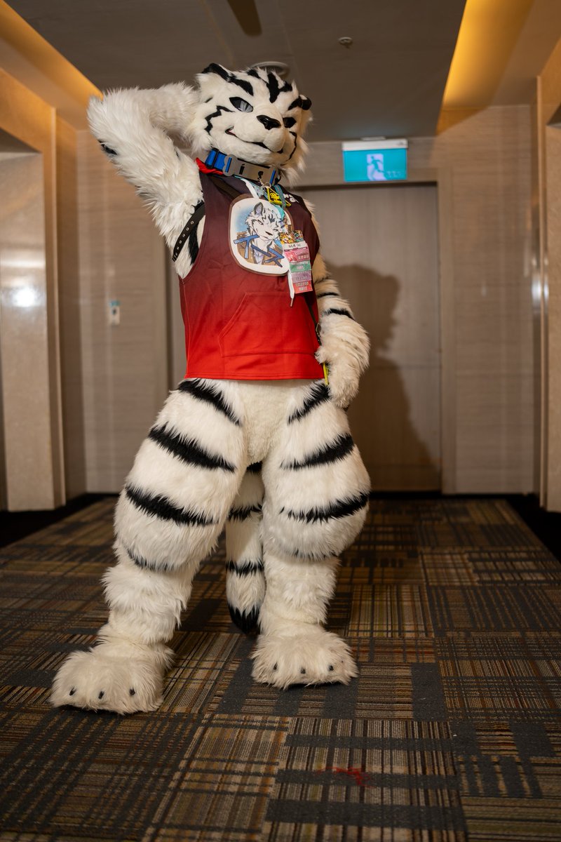 今回のお気に入り✨