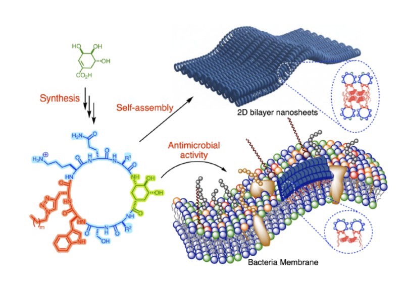 Interested on the development of novel antibiotics to fight against bacterial resistance? 
Take a look of this collaborative article just published in <a href="/RoySocChem/">Royal Society of Chemistry</a> 
Juan R. Granja,
<a href="/GonzalezBello_C/">Gonzalez-Bello group</a> 
  
👇 
pubs.rsc.org/en/content/art…