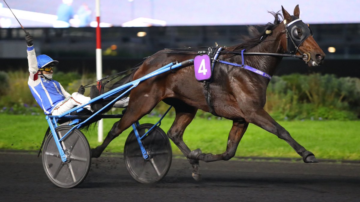 2023 GNT final winner and multiple group winner, Gaspar D’Angis has reportedly been sold to Malta 🇲🇹. <a href="/LeTrot/">Trotteur Français</a> <a href="/Paris_Turf/">ParisTurf</a>