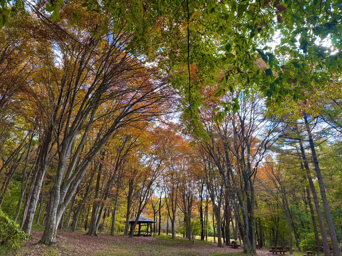 赤城自然園 on X