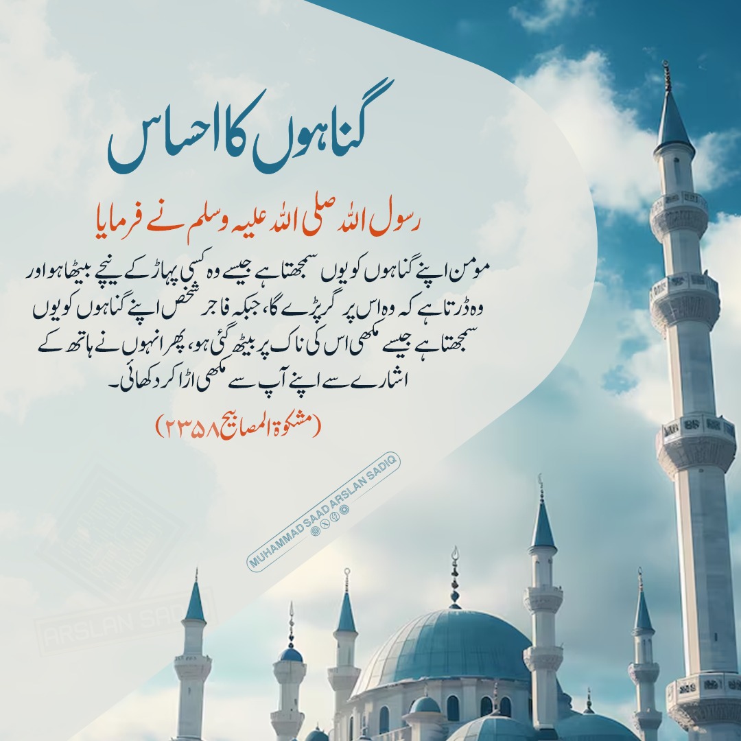 MSArslanSadiq's tweet photo. گناہوں کا احساس
#dailyhadees #hadithreminder #toptrend https://t.co/EDp9yPJG8A