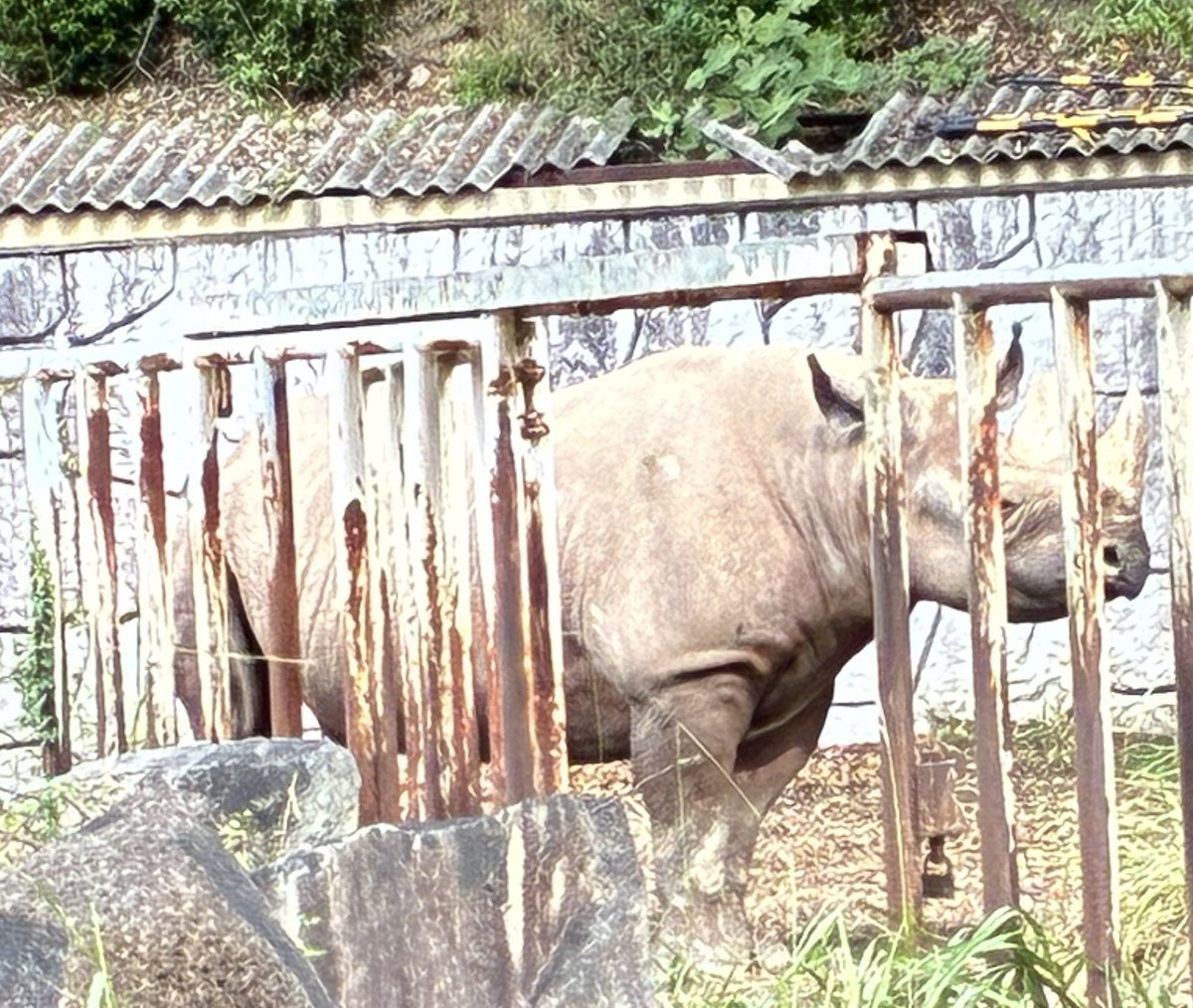 きょうちゃん on X