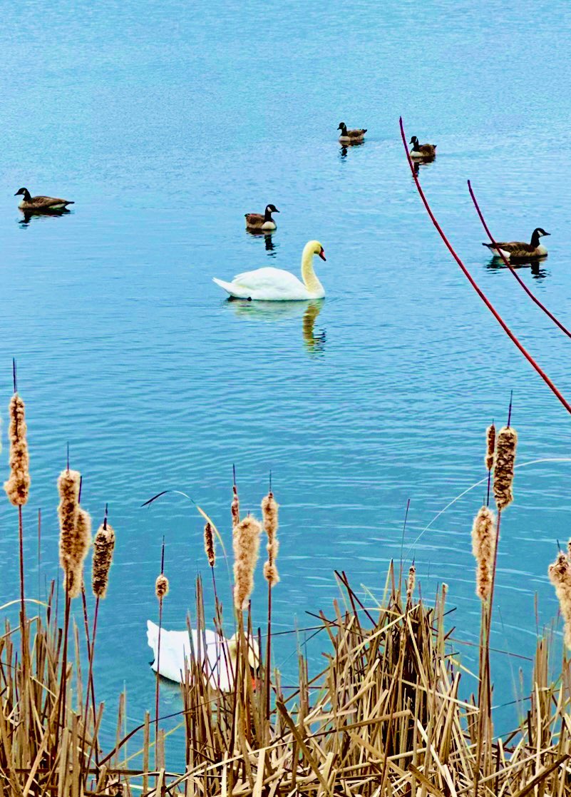 fxwright's tweet image. #floating