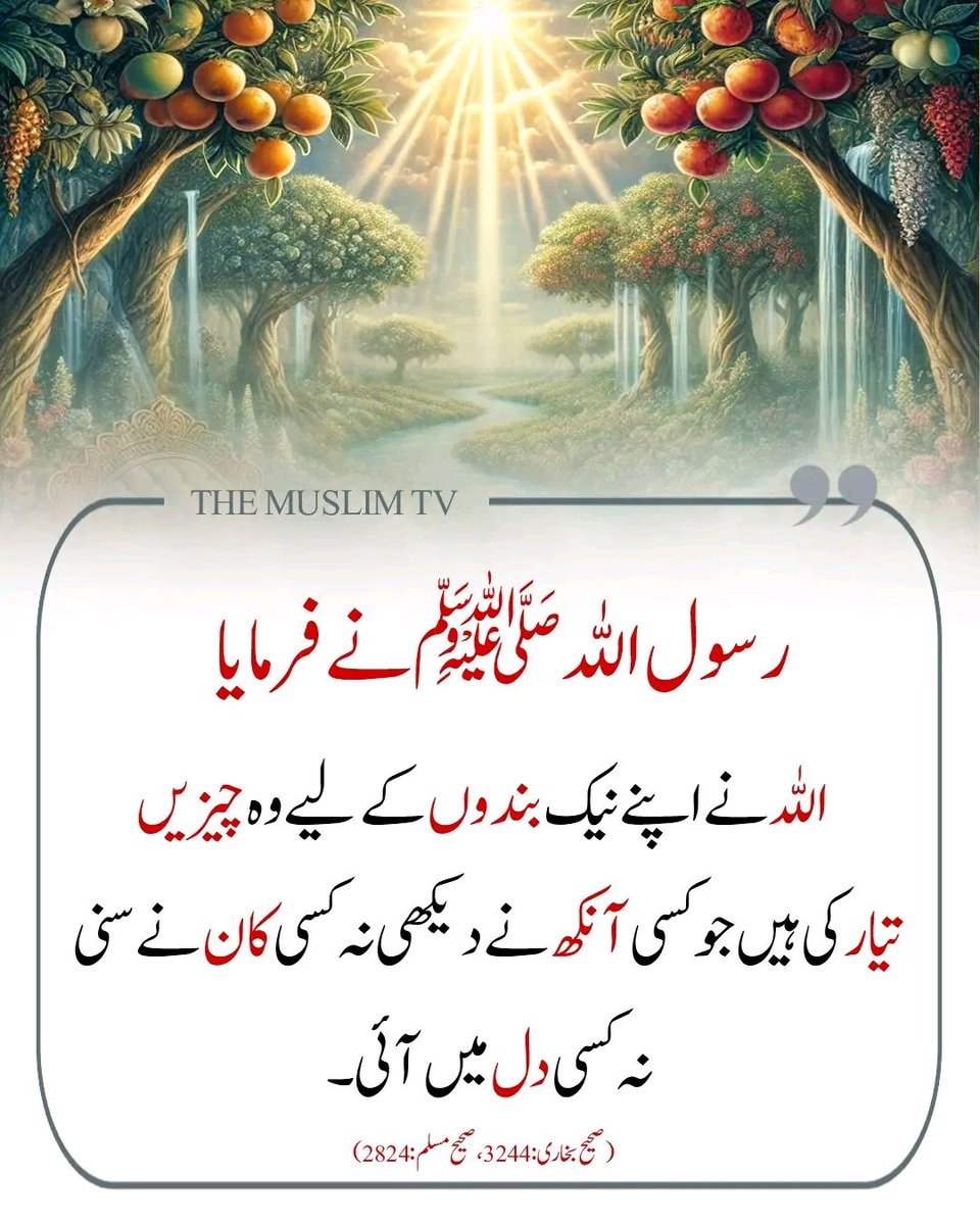 ChotiSheikhni's tweet image. 