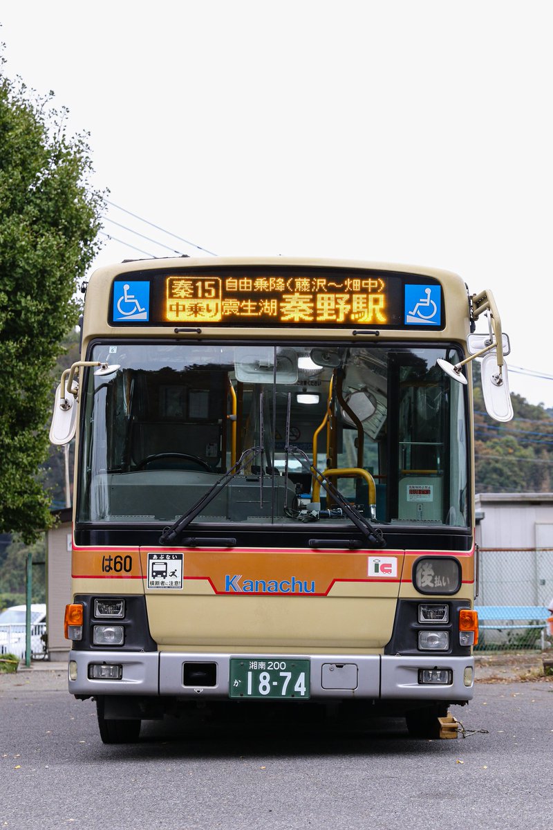 雪山野郎 ブルーペンギン on X