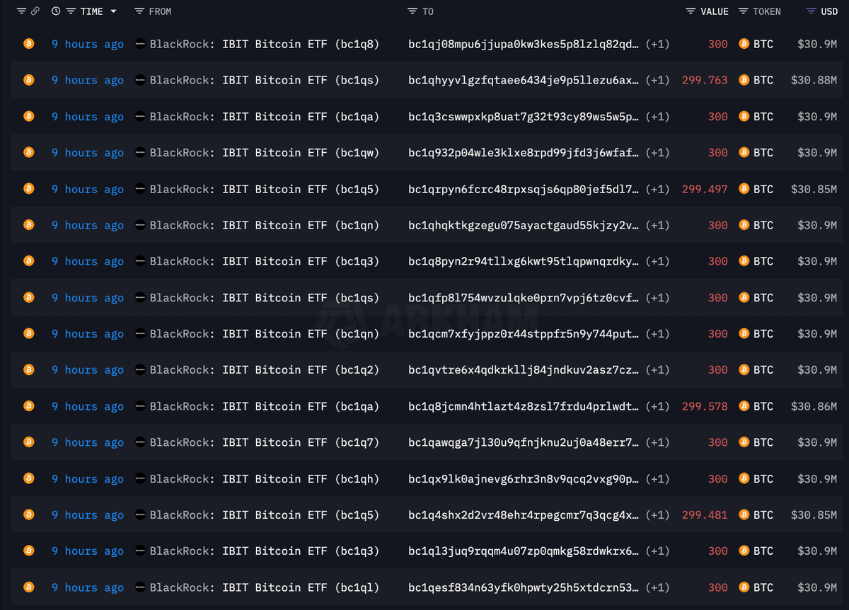 ardizor 🧙‍♂️ tweet media